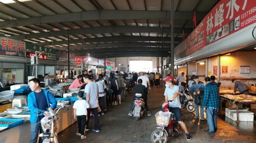 太漂亮了 一起來看海陽農(nóng)副產(chǎn)品批發(fā)市場的新家