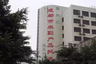 城市變遷的見證 五塊石客運站再會，班線調遷與商品批發貿易新篇章